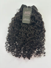 Load image into Gallery viewer, Burmese Curly