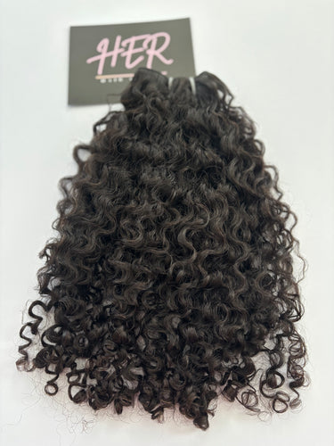 Burmese Curly